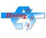 Hosting Domain Name Server